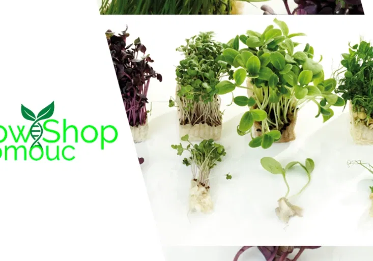 MB_clanek_3_864x463_px_V3_logo