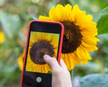 Guru tipy: 10 rad, jak skvěle fotit mobilem