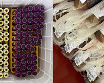 Darovali jsme bezmála 24 litrů krve