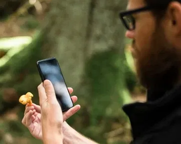 Cool aplikace do mobilu. Ukažte houbám, kdo je tady pánem