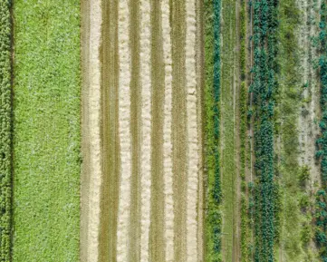 Koncept navracení uhlíku do půdy českého startupu funguje a O2 je u toho