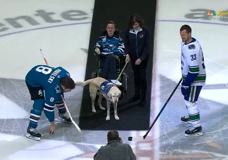 Krásná práce! Slavnostní buly v San Jose vhodil asistenční pes