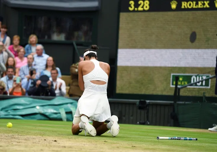 Kuriózní konec wimbledonského finále: Jestřáb přinesl kanára