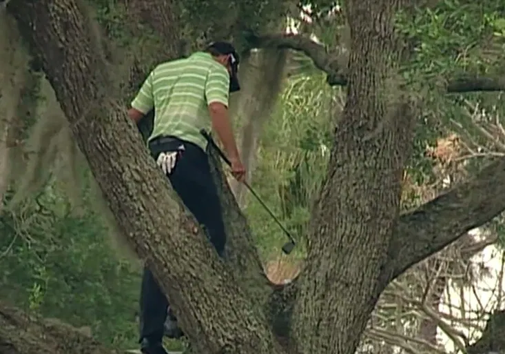 Nejlepší golfová rána všech dob? Jak zahrál Garcia přímo z koruny stromu?