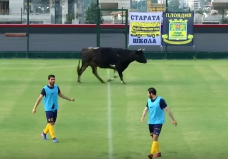 Fotbal v Bulharsku: Přípravný zápas přinesl nečekanou show!