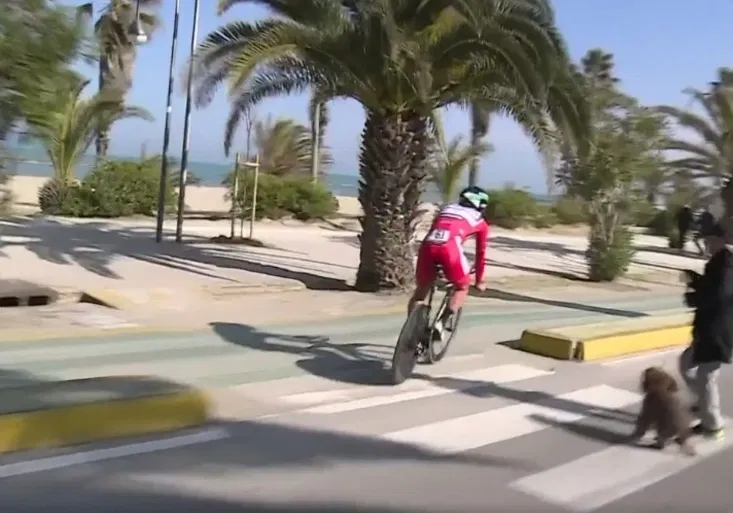 Gentleman Peter Sagan perlil: Možná ta stařenka se psem měla pravdu!