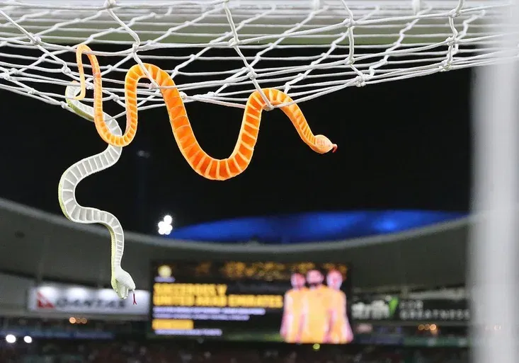 Bizarní nenávist fanoušků v Austrálii! Po brankáři soupeře házeli hady!