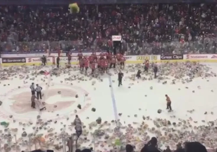 Nádherné gesto pro nemocné děti: Padl gól a na ledě přistálo přes 20 tisíc plyšáků