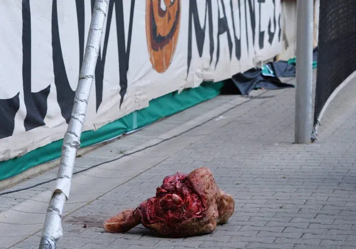 Blázni z Drážďan! Fanoušci hodili po soupeři z Lipska býčí hlavu! Jaký dostal klub trest!