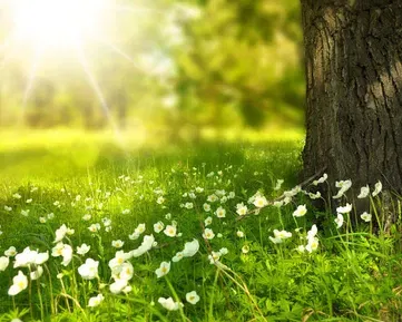 Noisli  – to je nejlepší appka plná šumů a ruchů pro práci i volný čas