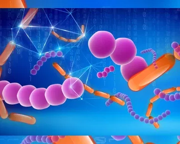 Znáte „krevní obraz” svého IT?