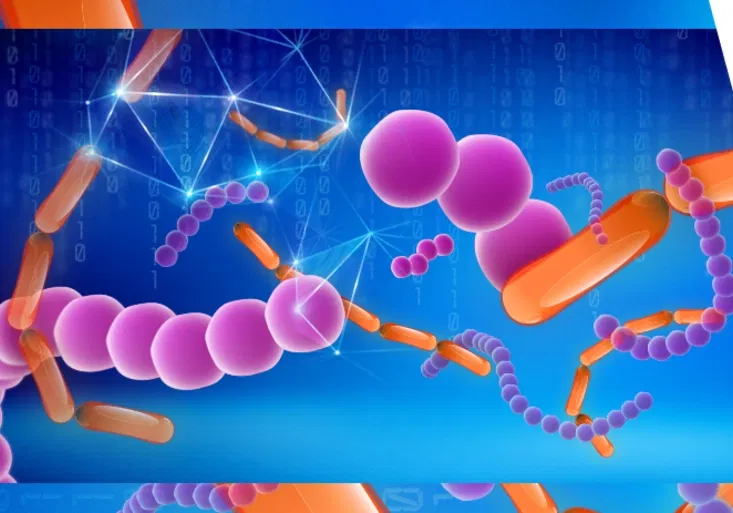 Bezpecnost_6_864x463_px_V3