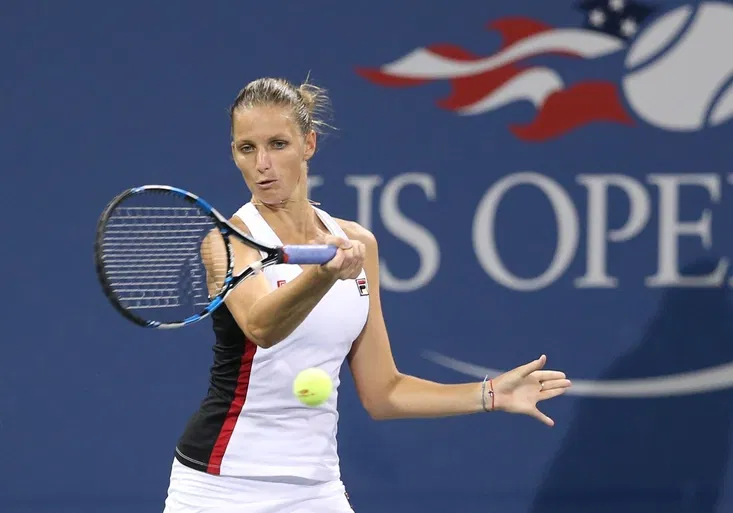 Štěpánek po vyřazení US Open: Bylo to jako v písničce. Ze hry je i Rosol, dál jde Plíšková