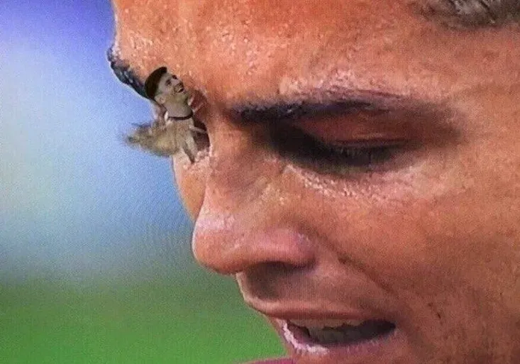 Ronaldova můra hlavní hrdinkou finále? Jaké parodie zaplavily internet?