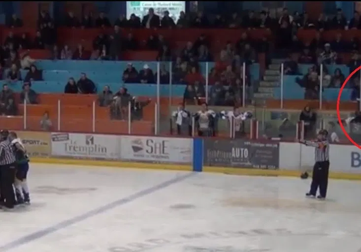 Hokejová bitka s netradiční kulisou. Hráč fandil na plexiskle jako Šílený Max!