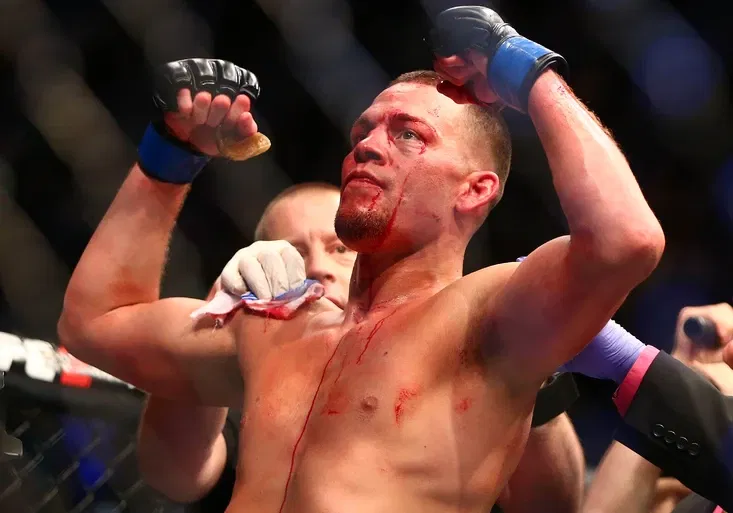 MMA vtípky na adresu poražených. Jak reagují fanoušci na souboj Diaz vs. McGregor?