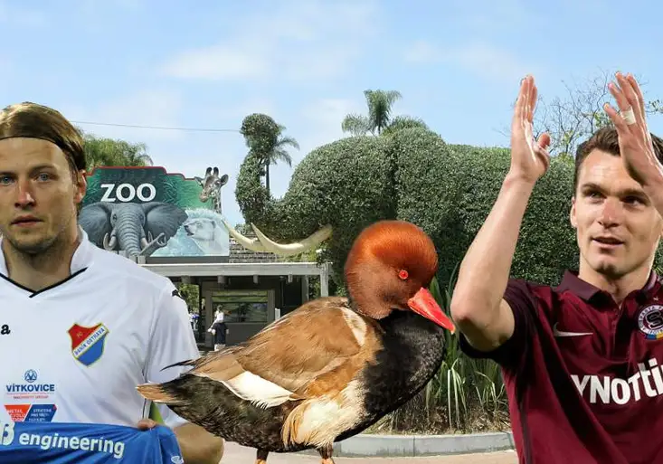 Baník vs. Sparta: Konec bitek fanoušků, nastupují roztomilá zvířátka