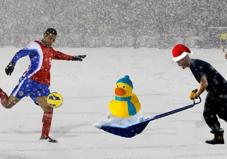 Návrat ke kořenům! Vyhřívané trávníky a halogeny ničí životní prostředí, a proto skončí