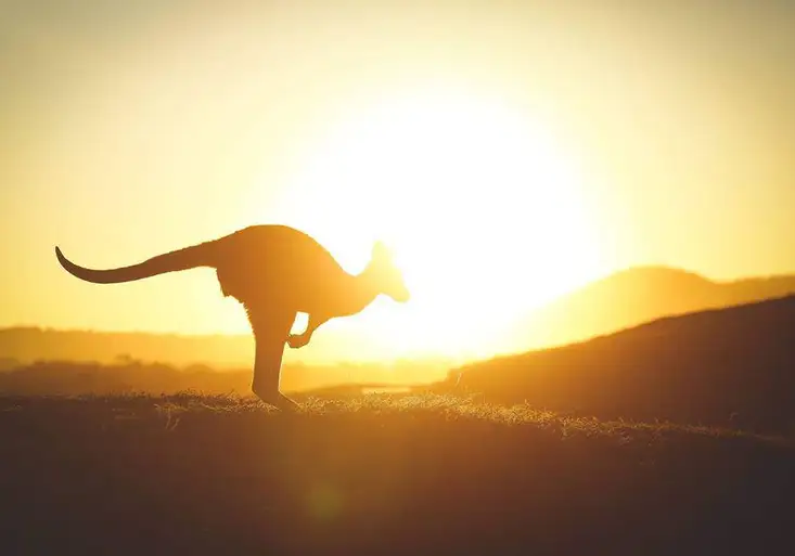 Vítejte v Austrálii, jezdci WRC! Ostberga vyřadila srážka s kamionem. Ogier málem otočil vůz na střechu