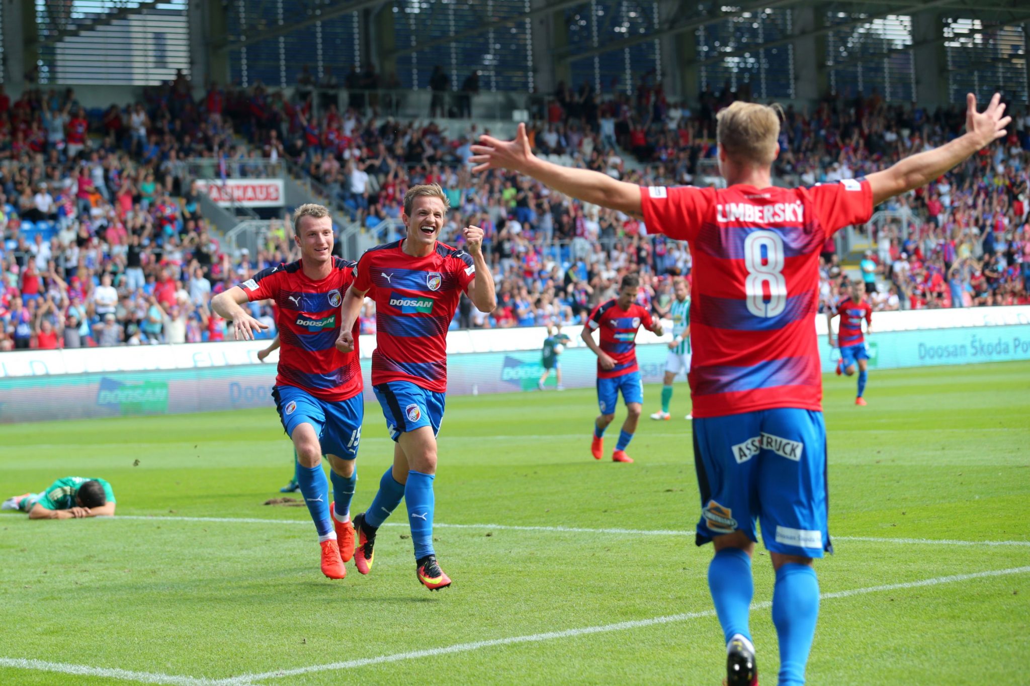 plzen david limbersky