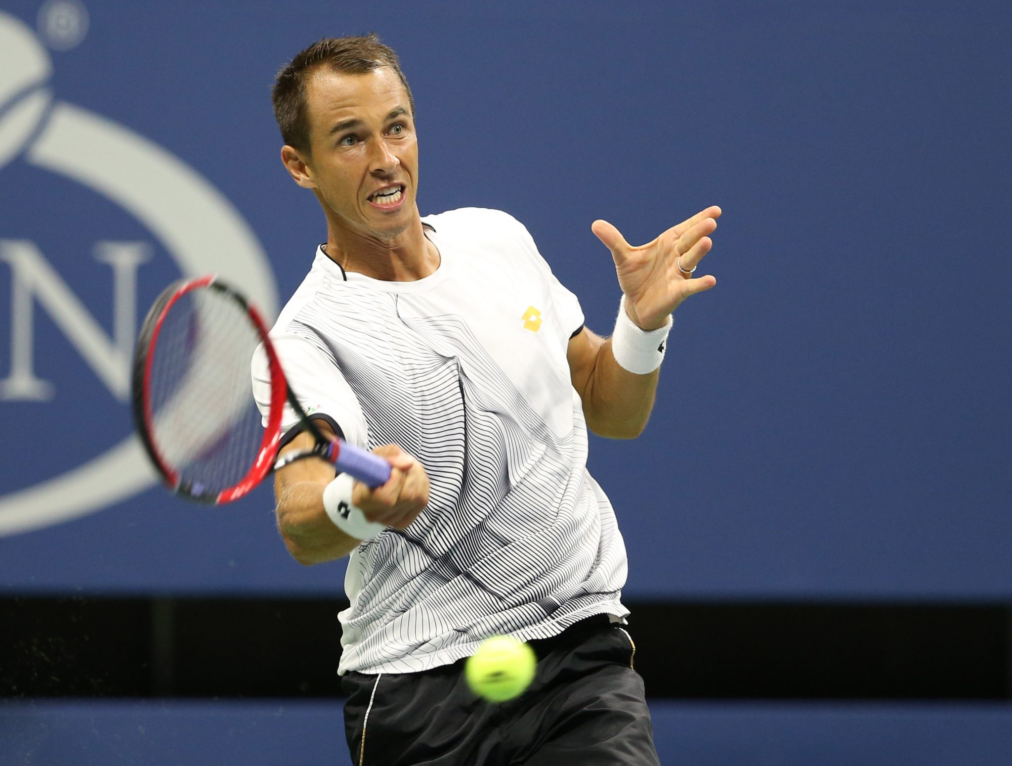 rosol murray us open tenis